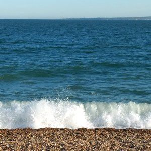 Meet your Posher, Amelia